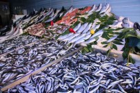 LODOS - Bilecik'te Balık Fiyatları Cep Yakıyor