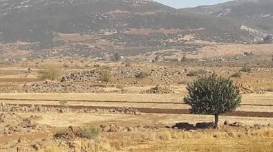 Hatay sınırında çatışma