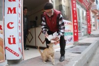 MEMUR EMEKLİSİ - Sokak Kedisini Tavuk Dönerle Besliyor