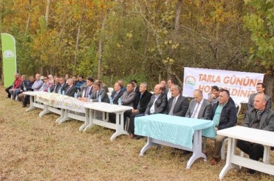 Terme'de 'Soya Yetiştiriciliği Hasat Tarla Günü' Düzenlendi