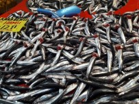 Eskişehir'de Hamsi El Yakacak