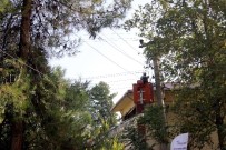 ELEKTRİK TELİ - Kopan Elektrik Teli Mahalle Sakinlerini Korkuttu