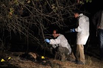 Muğla'da yanmış kadın cesedi bulundu