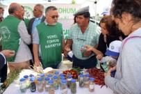 SOĞUK HAVA DEPOSU - Muğla'da 'Yerel Tohum Merkezi' Açıldı