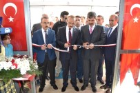 Resim Sergisinde Dikkat Çeken Maket