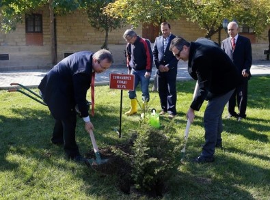 TÜ'den Geleneksel 'Cumhuriyet Fidanı' Töreni