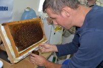 PROPOLIS - Üniversiteli Arıların Ürünleri Satışa Sunuldu