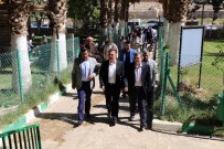 SAADETTIN AYDıN - AK Parti Teşkilat Başkan Yardımcısı Saadettin Aydın Harran'da