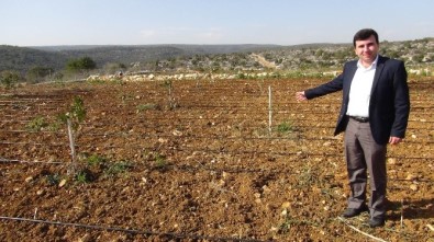 Akdoğan Açıklaması 'Milli Tarım Projesi, Çiftçiye Can Suyu Olacak'