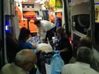 Ceviz Ağacından Düşen Yaşlı Adam Ağır Yaralandı