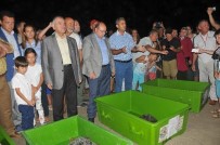 DEKAMER'de Tedavileri Tamamlanan Deniz Kaplumbağaları Denize Bırakıldı