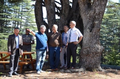 Erdemli Kargagediği Mesire Alanı'nın Yapımında Sona Gelindi