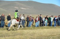 Rahvan At Yarışları Türkiye Şampiyonası Ardahan'da Yapıldı