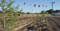 Şefaatli Alifakılı Köylüleri 15 Temmuz Şehitler Hatıra Ormanı Oluşturdu Haberi