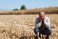 Tokat'ta görülmemiş hırsızlık