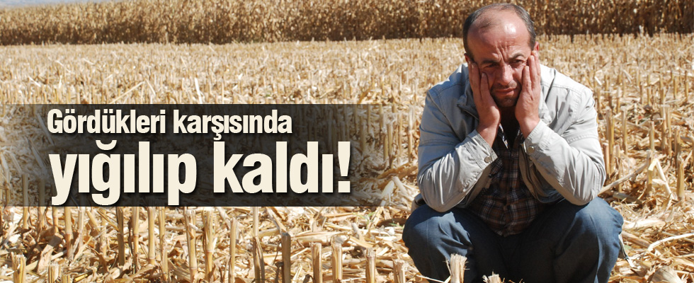 Tokat'ta görülmemiş hırsızlık