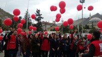 HÜSEYIN YAPıCı - Kızılay Haftası Renkli Görüntülere Sahne Oldu
