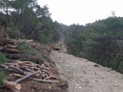 Vezirköprü'de Yangınla Mücadele Yolu
