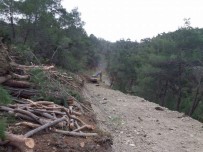 Vezirköprü'de Yangınla Mücadele Yolu