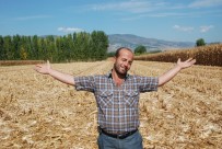 BAYRAM HAVASI - Çalınan Mısırlarına Kavuştu!