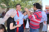 Enişteden Damada 7 Buçuk Kilo Para !