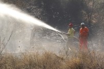 TAŞAĞıL - Manavgat'ta Orman Yangını