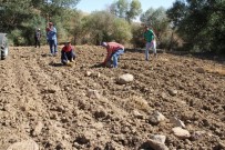 Yozgat Çiftçisi Taş Toplama Makinesi İstiyor Haberi