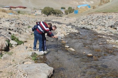 Ağrı'da Su Ürünleri Yetiştiriciliği