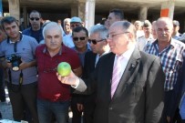 Bağ Bozumu Şenliği Yapıldı