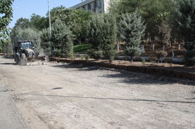 DÜ'de Asfalt Çalışmaları Devam Ediyor