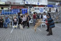 HAYVAN BARINAĞI - Hayvanları Koruma Günü'nde Hayvanlara Yapılan Şiddete Dikkat Çekildi