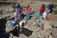 ALATOSUN - Köylüler Hayvanların Da Kullandığı, Dışkılarının Bulaştığı Kuyu Suyunu Mecburiyetten İçiyor