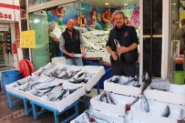 Balıkçılarda Palamut Bolluğu Yaşanıyor