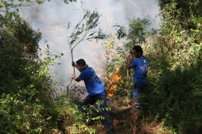 Marmaris'te Çıkan Orman Yangını Söndürüldü