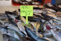 BALIK SEZONU - Palamut Bolluğu Hem Balıkçıların Hem De Vatandaşların Yüzünü Güldürdü