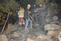 Aksaray'da Orman Yangını