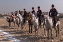 Atlı Cirit Ligi Hız Kesmeden Devam Ediyor