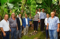 Boztaş Açıklaması 'Manavgat Muza Damgasını Vuracak'