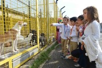 RÖNTGEN - Can Dostlarını Ziyaret Ettiler