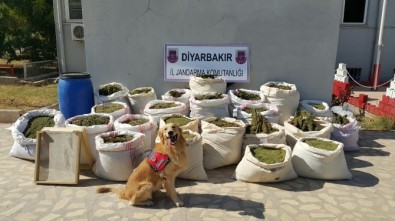 Diyarbakır'da 466 Kilo 800 Gram Esrar Ele Geçirildi