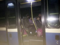 EDİRNE VALİLİĞİ - Edirne'de 29 Kaçak Göçmen Yakalandı