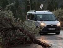 ŞİDDETLİ FIRTINA - İç Batı Anadolu'da fırtına uyarısı