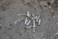 MEHMET ERMIŞ - Toprak Kayması Sonrası Ortaya Çıkan Kemikler Merak Konusu Oldu