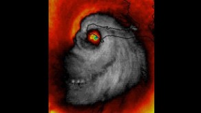 Dünya bu görüntüyü konuşuyor