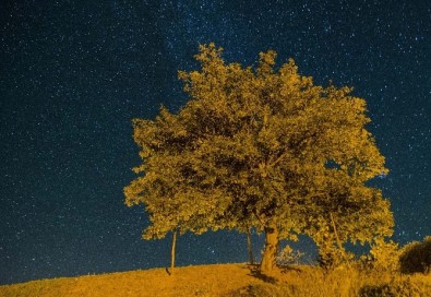 Ovacık'ta Yıldızların Dansı Göz Kamaştırdı