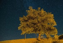 Ovacık'ta Yıldızların Dansı Göz Kamaştırdı