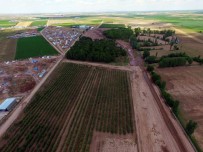 ERGUVAN - Büyükşehir'den Çumra'ya 300 Bin Metrekarelik Fidanlık