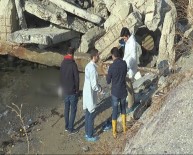 Kardal'da Sahilde Erkek Cesedi Bulundu