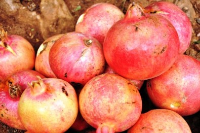 Narın Tahta Kaşıktan Çizmeli Ayaklara Kadar Uzanan 'Ekşi' Yolculuğu