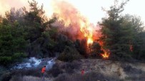 ZEYTİN AĞACI - Antalya'daki Yangın Kontrol Altına Alındı